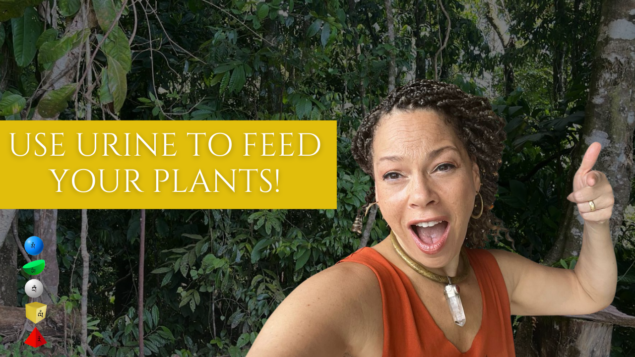 shamanic tantra gardening tips